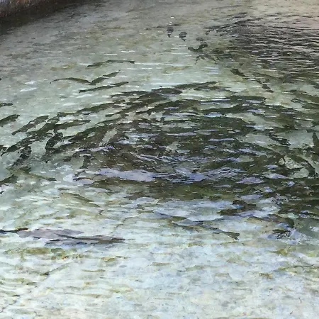 La Fonte Alloggio per agriturismo