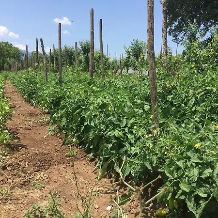 La Fonte Agroturismo *