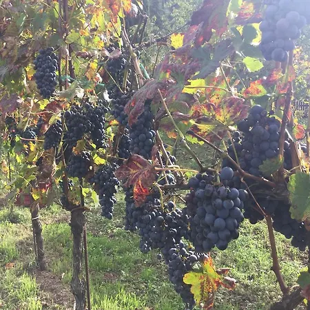La Fonte Agroturismo