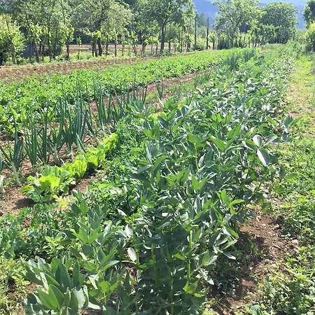 Agroturismo La Fonte Sala Consilina