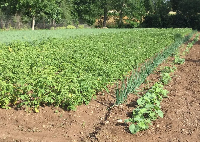 La Fonte Farma Padula